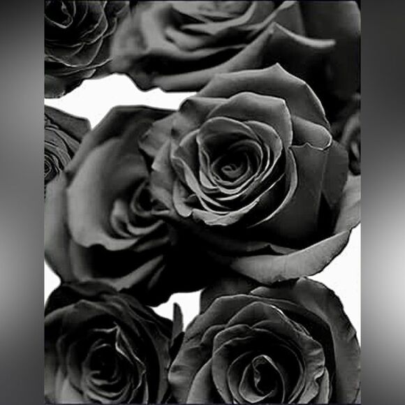 Chanel B&W Roses Picture print collection-Glam Wall Art Chic Modern black rose - Picture 4 of 6